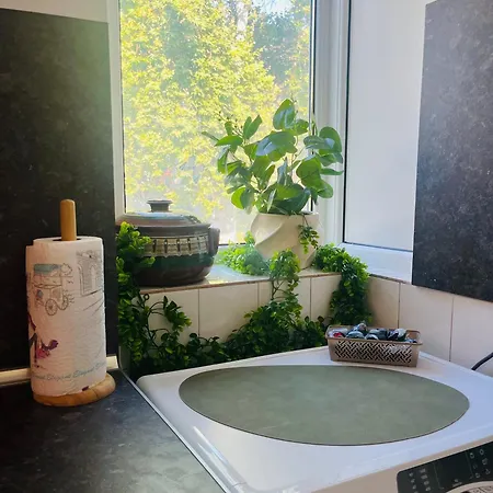 Detelina Bee Happy In Apartamento