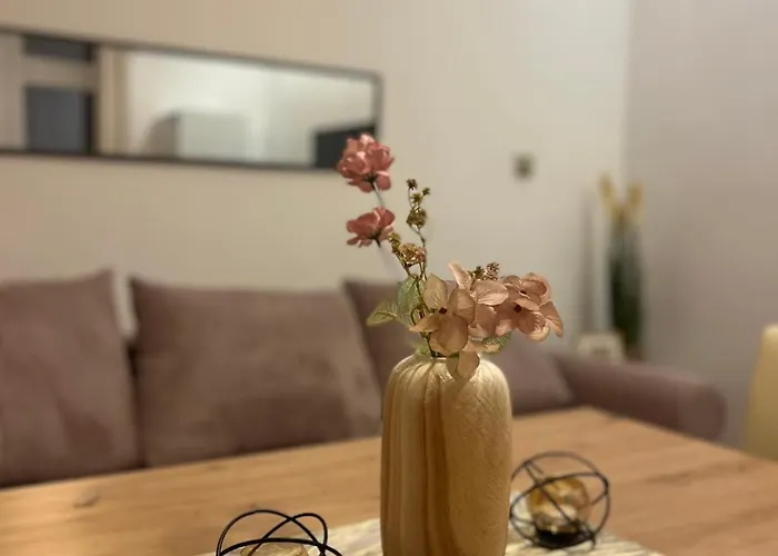 Detelina Bee Happy In * Burgas City