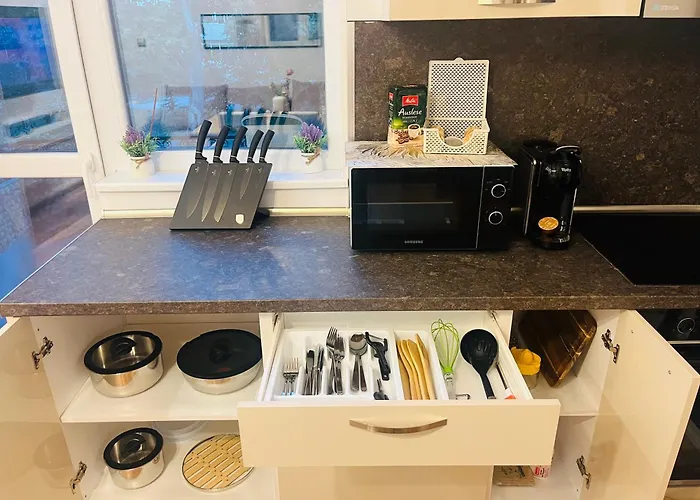 Detelina Bee Happy In * Burgas City