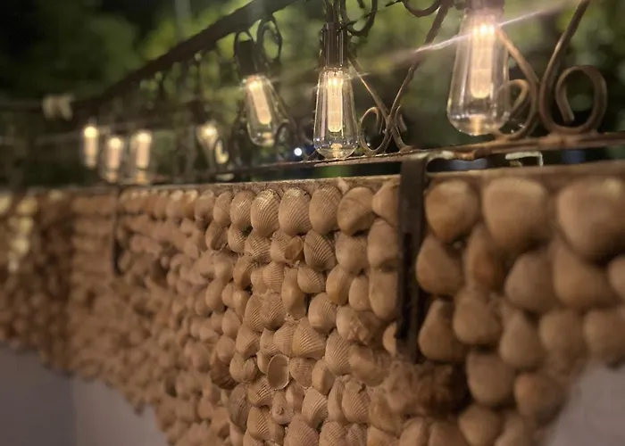 Detelina Bee Happy In Burgas City